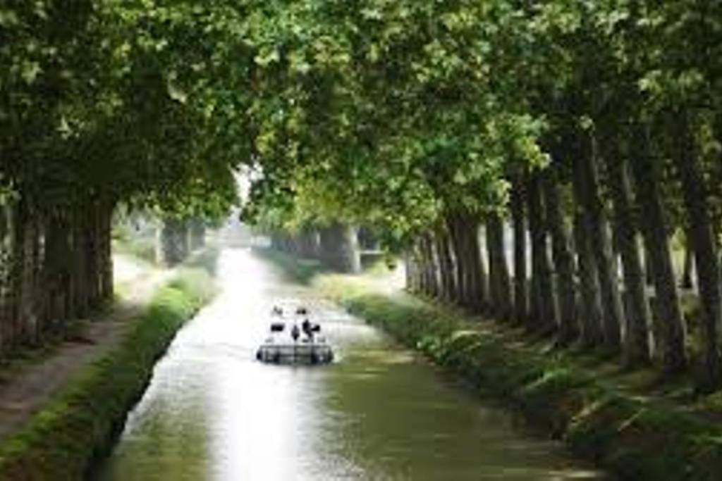 Le Prieure - Studios Jusqu'A 4 Personnes Villeneuve-lès-Béziers Eksteriør bilde